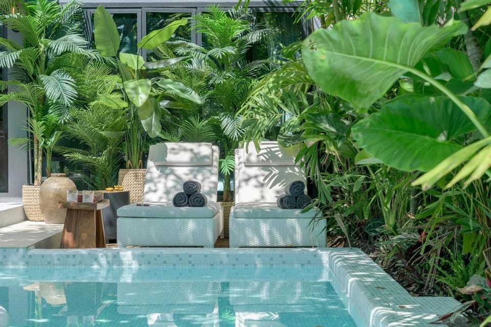 Garden, Swimming pool