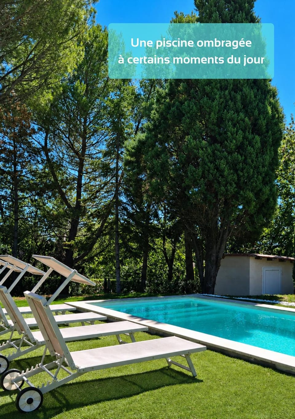 Natural landscape, Garden, Swimming pool, sunbed