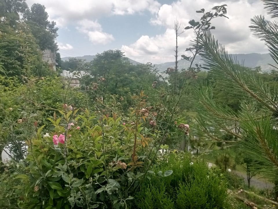 BHURBAN MOUNTAIN VIEW APARTMENTs Hotel in Punjab