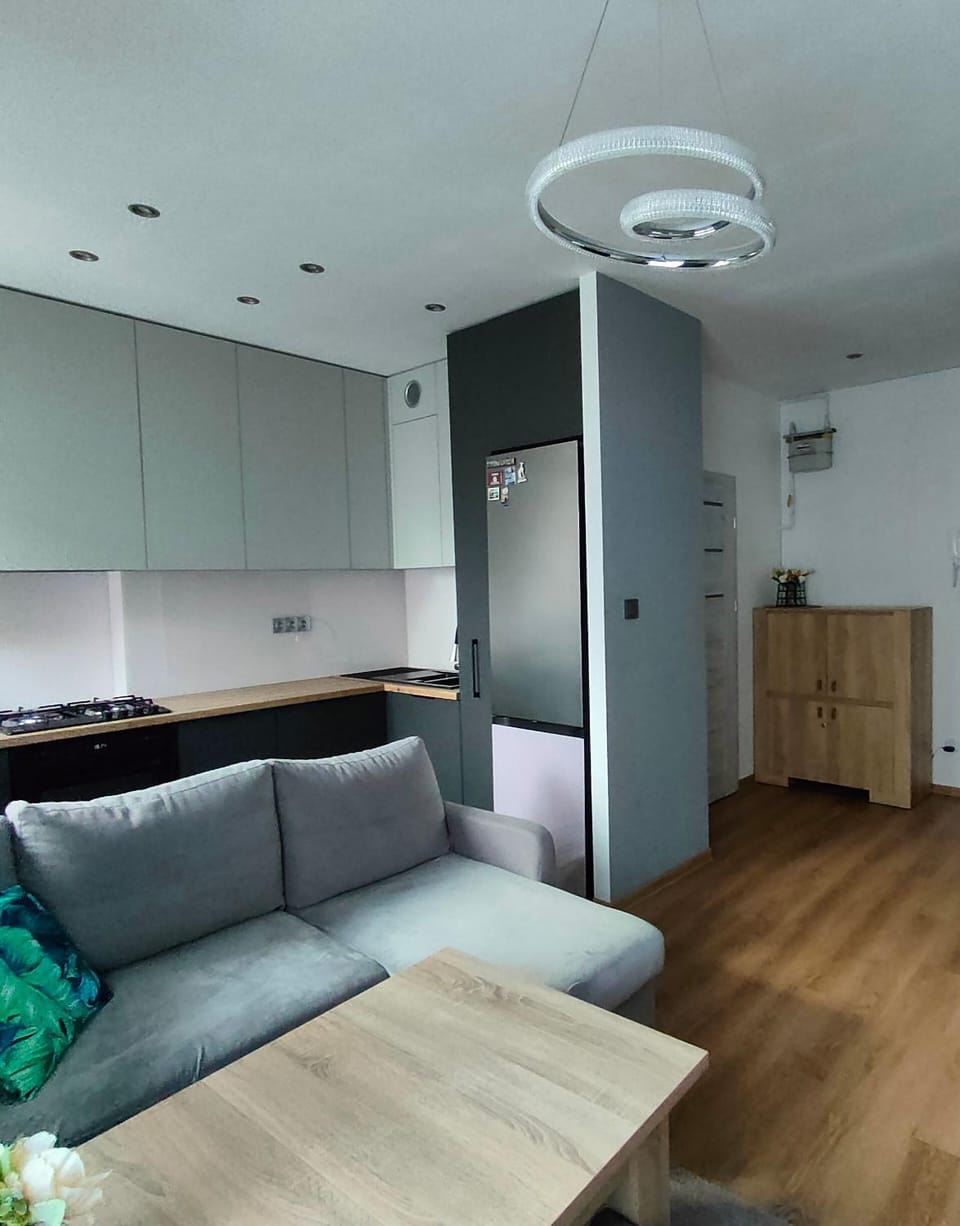 Apartament Krakowska Apartment in Czechia