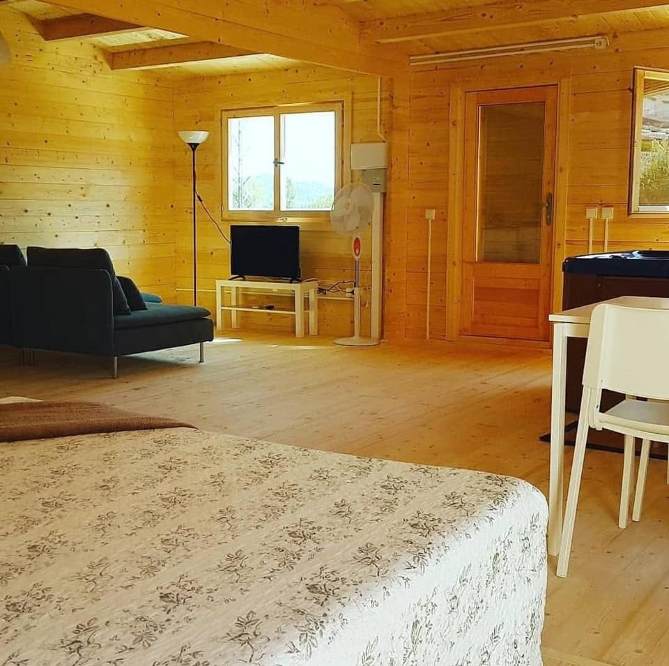 Communal lounge/ TV room, Bed, Photo of the whole room, Bedroom