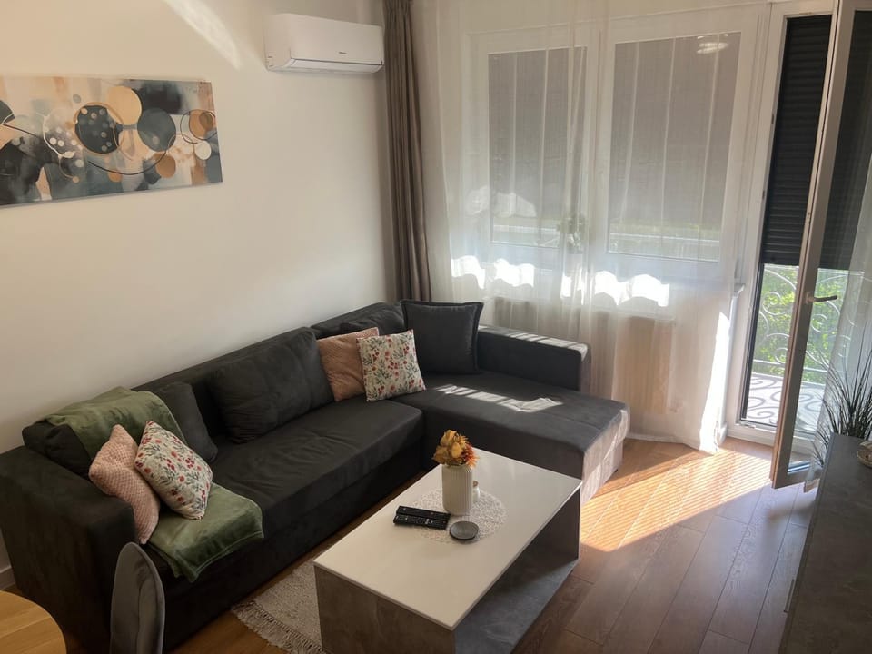 Apartment VIP Apartment in Vojvodina