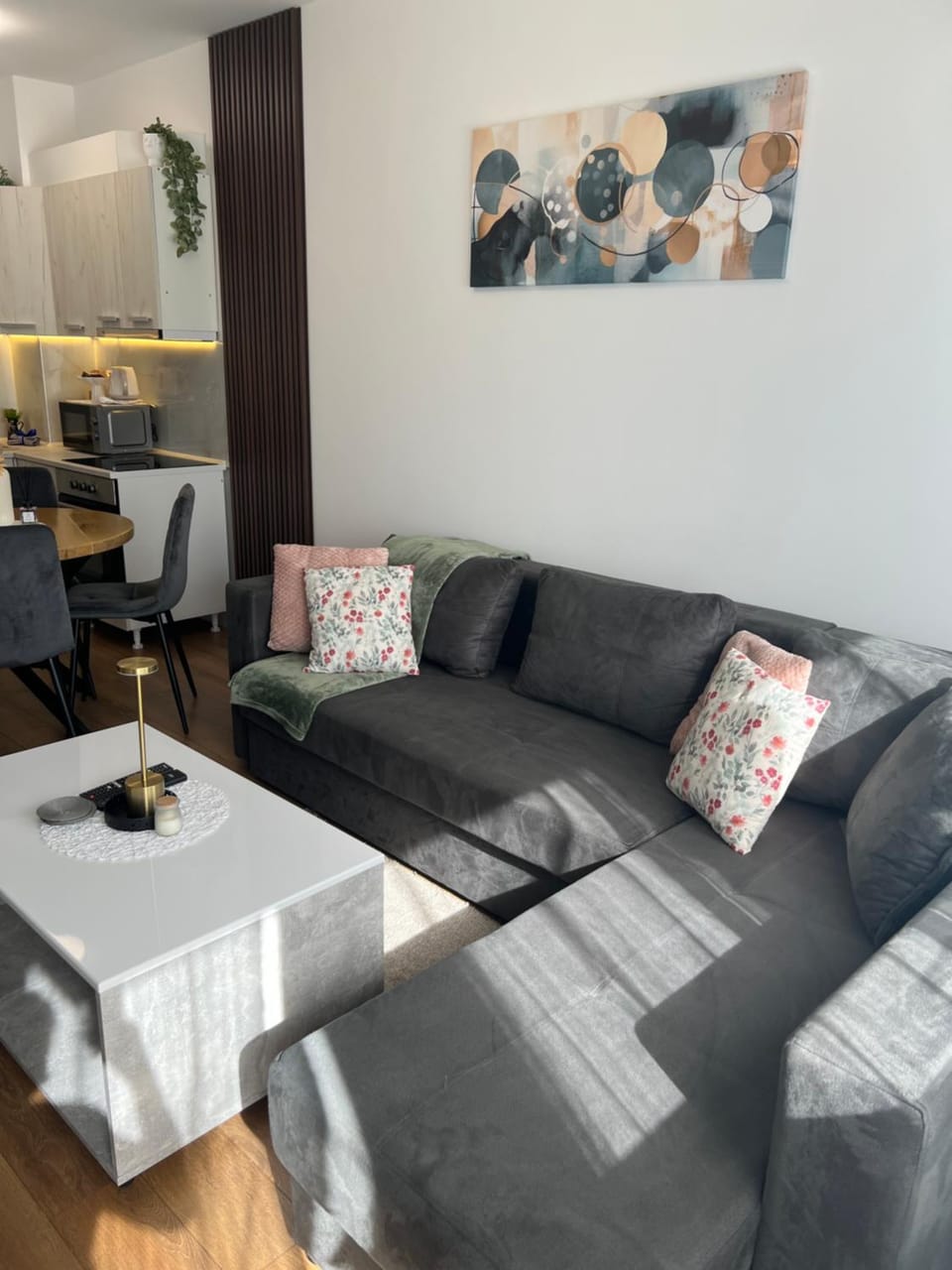 Apartment VIP Apartment in Vojvodina