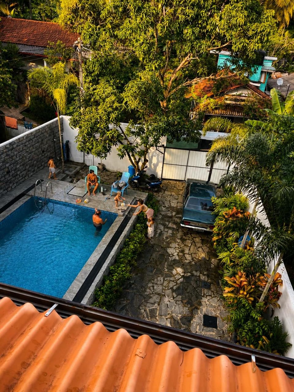 Day, Garden, Garden view, Pool view, Swimming pool