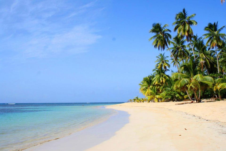 Natural landscape, Summer, Beach