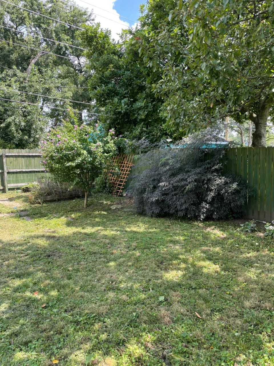 Garden view