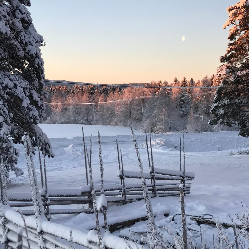Day, Natural landscape, Winter