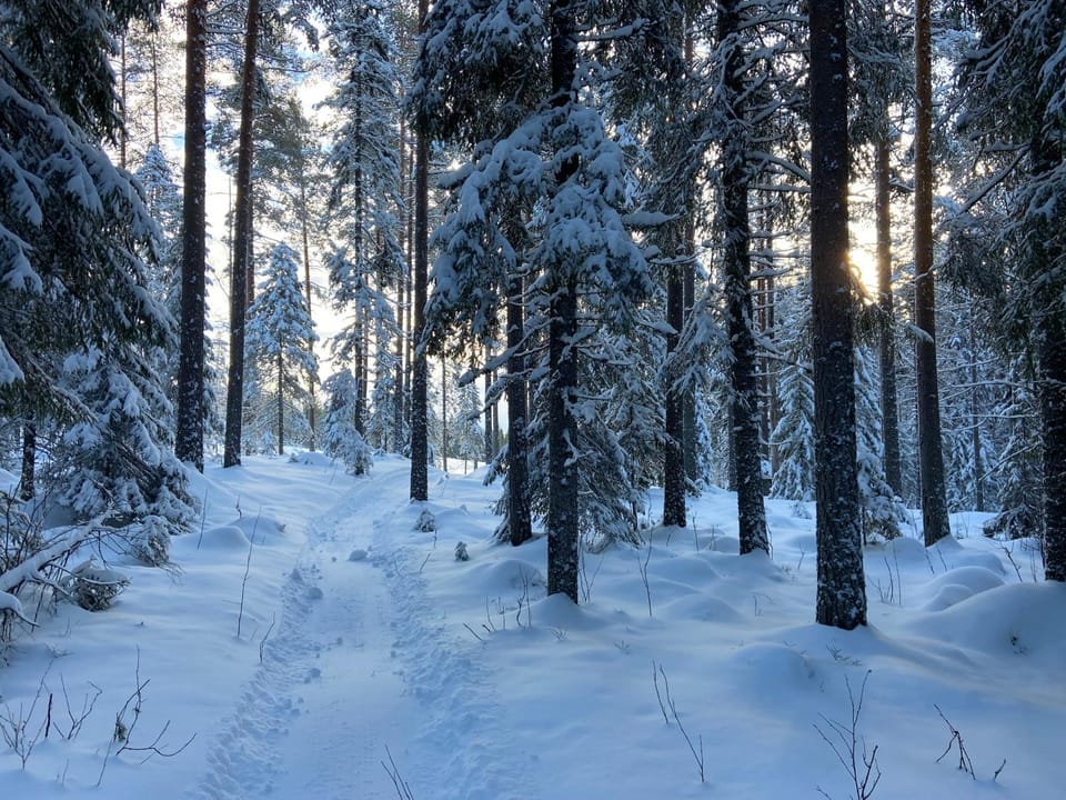 Day, Natural landscape, Winter