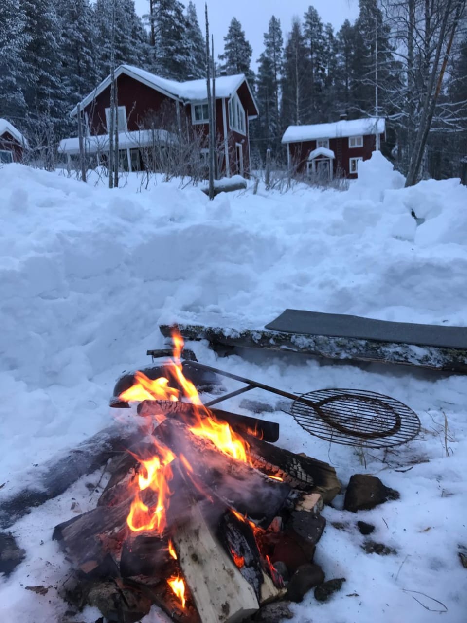 Natural landscape, Winter