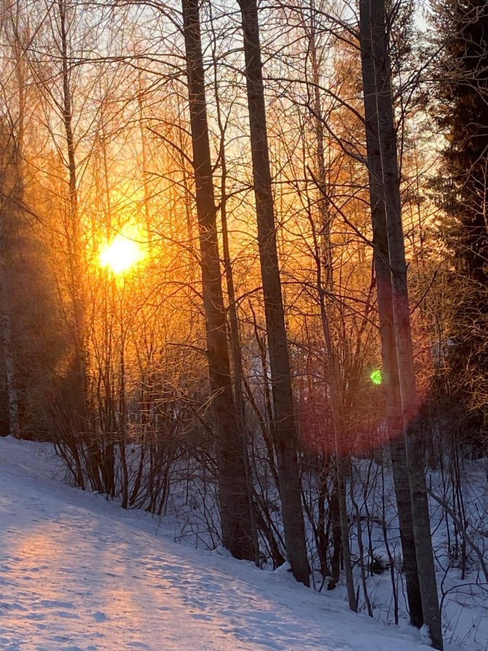 Day, Natural landscape, Winter, Sunset