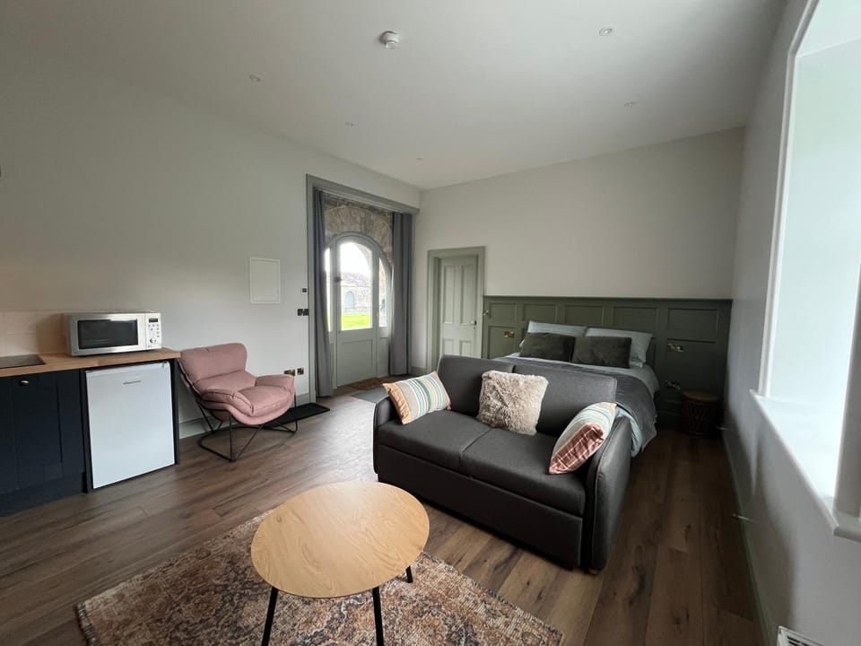 Bed, Kitchen or kitchenette, Living room