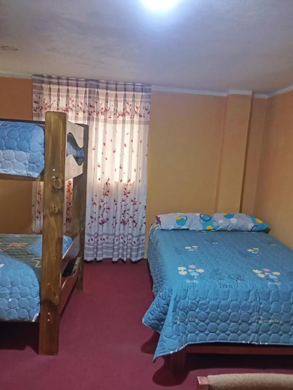 Bed, Photo of the whole room, bunk bed