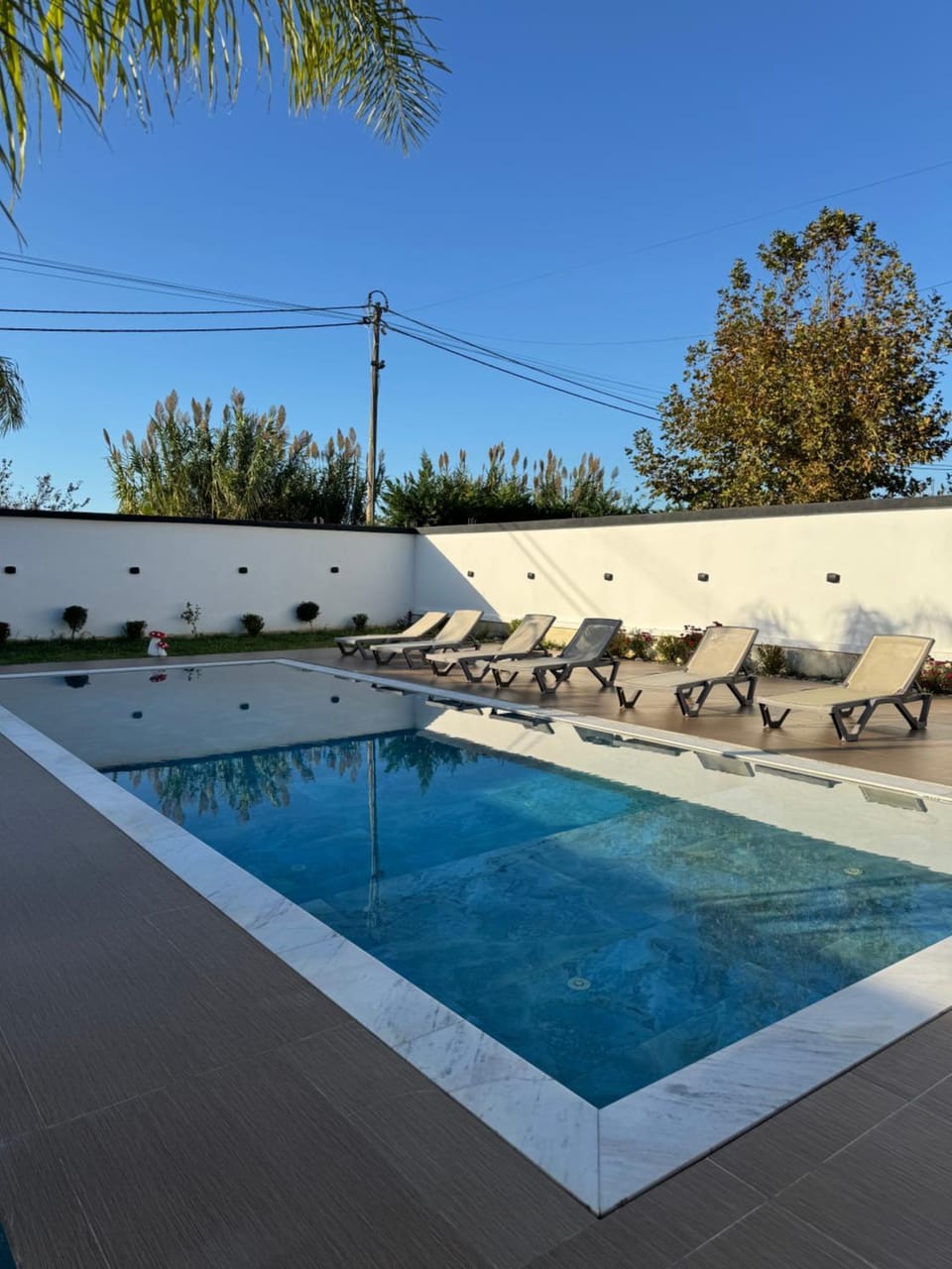 Day, Pool view, Swimming pool, sunbed