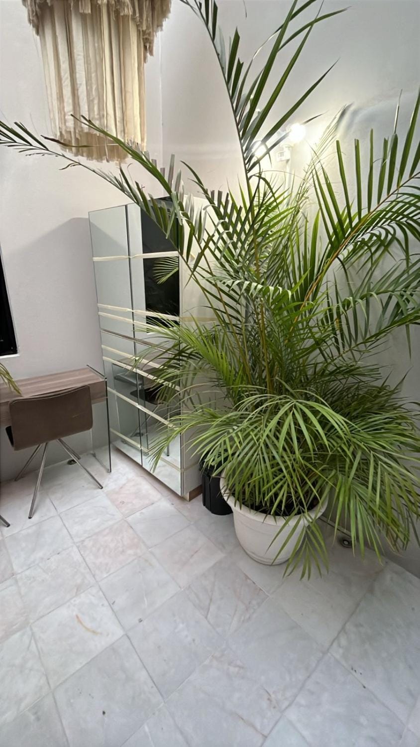 NIDO Hotel Inn in San Miguel de Allende
