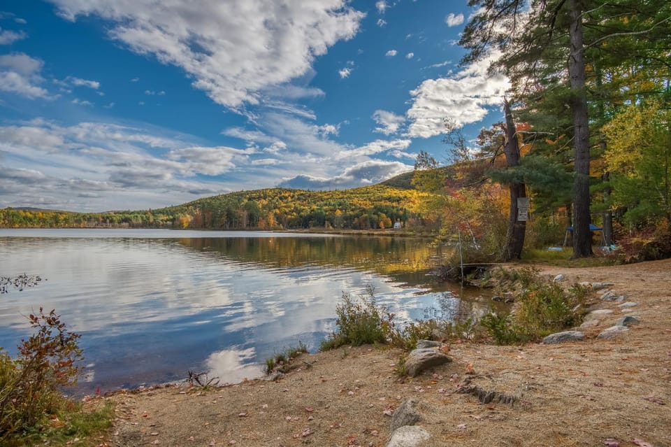 Lake view