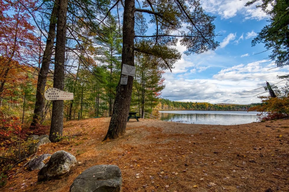 Lake view