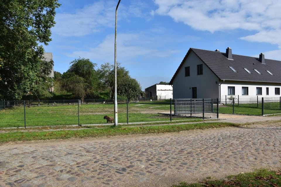 Ferienwohnung zur Schlossruine Apartment in Mecklenburgische Seenplatte