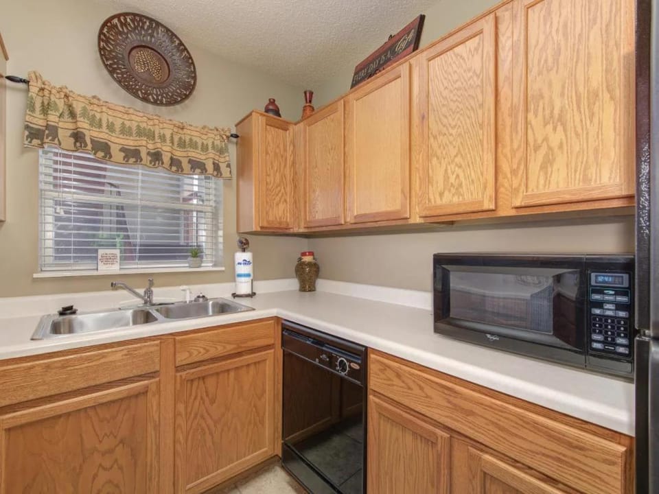 CL505 River Romp House in Pigeon Forge