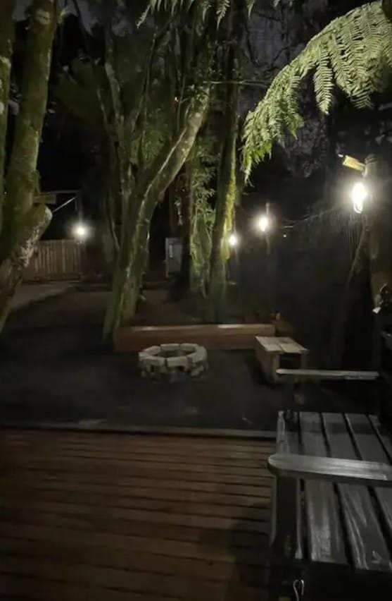 Night, Natural landscape, Garden, Garden view
