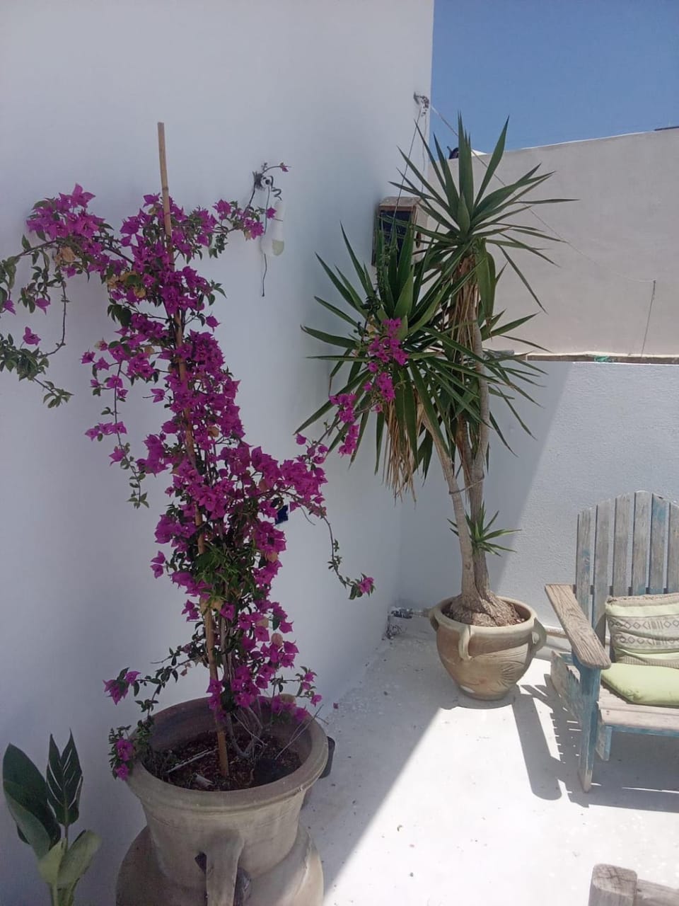 Dar Leïla Apartment in Sousse Governorate, Tunisia