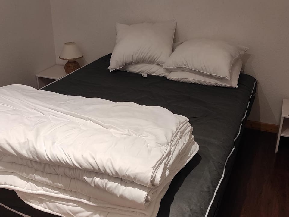 Appartement Montagne 4 Pers, Balcon et Piscine - FR-1-814-162 Apartment in Besse-et-Saint-Anastaise