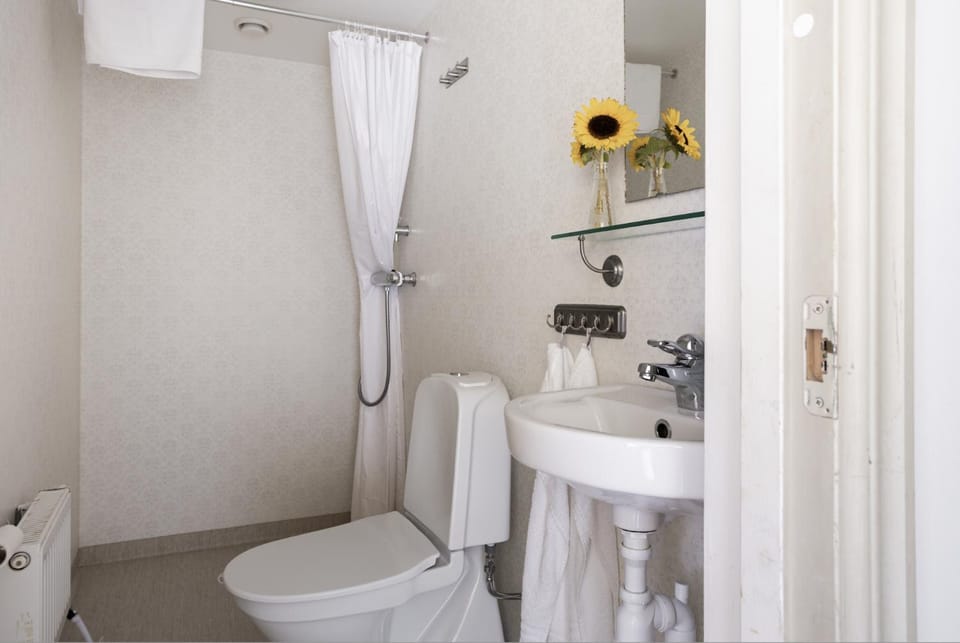 Shower, Toilet, towels