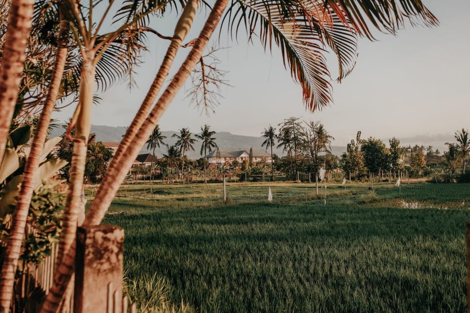 Rumi Bumi Lovina - A Home For Unhurried Days Hotel in Buleleng