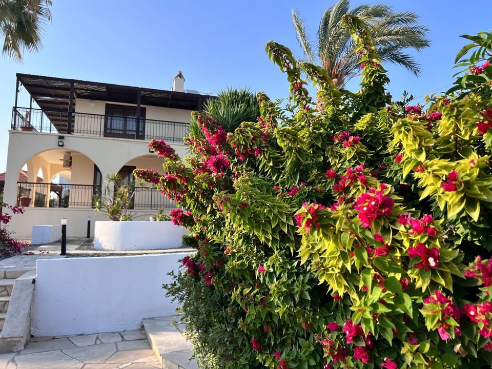 Patio, Summer, Garden