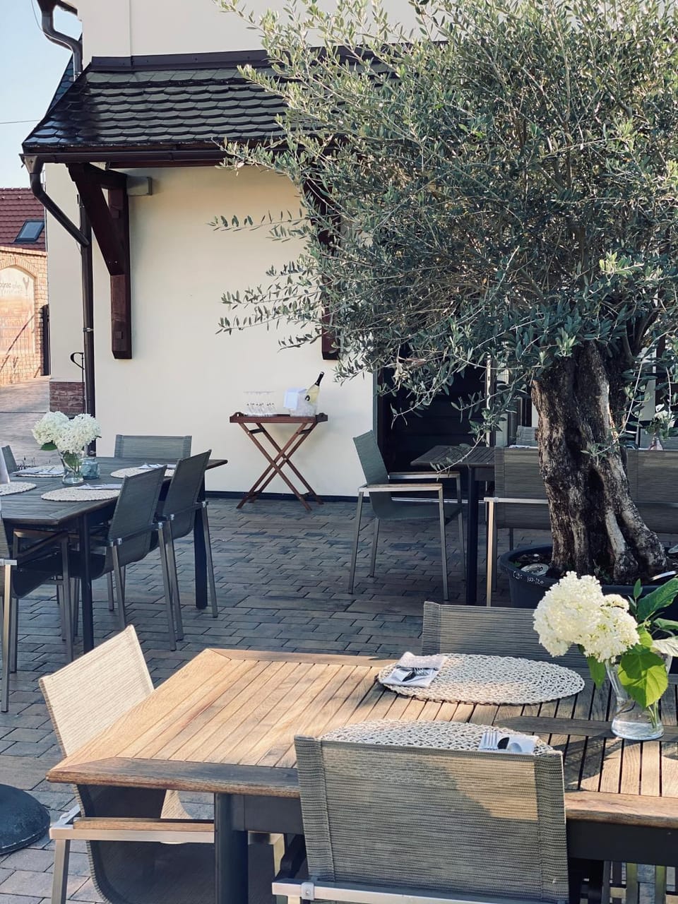 HARDY - Cognac & Pension Bed and Breakfast in South Moravian Region