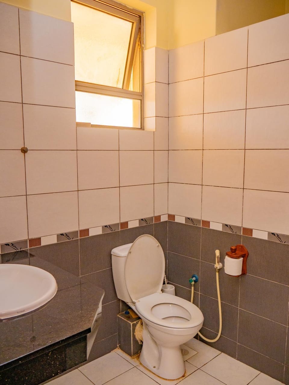 Toilet, Bathroom, bidet