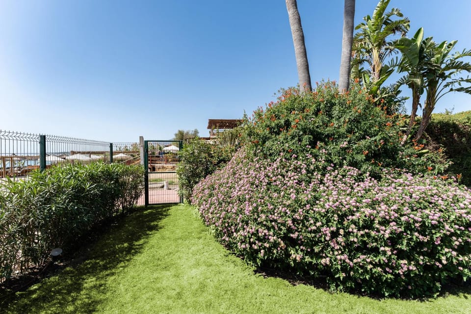 Garden, Beach, Garden view
