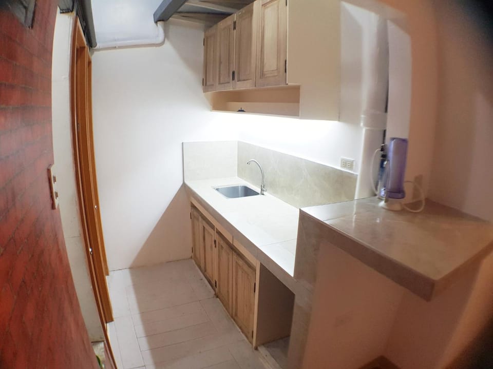 Kitchen or kitchenette, kitchen