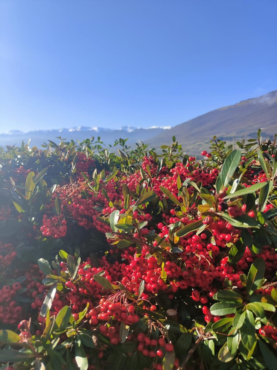 Mountain view