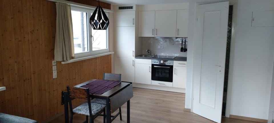 Kitchen or kitchenette, Dining area, stove
