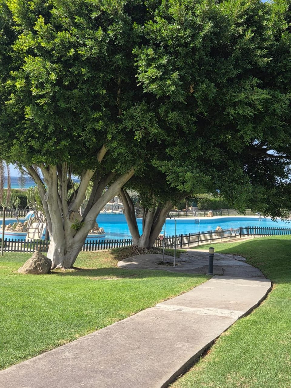 Swimming pool, Swimming pool