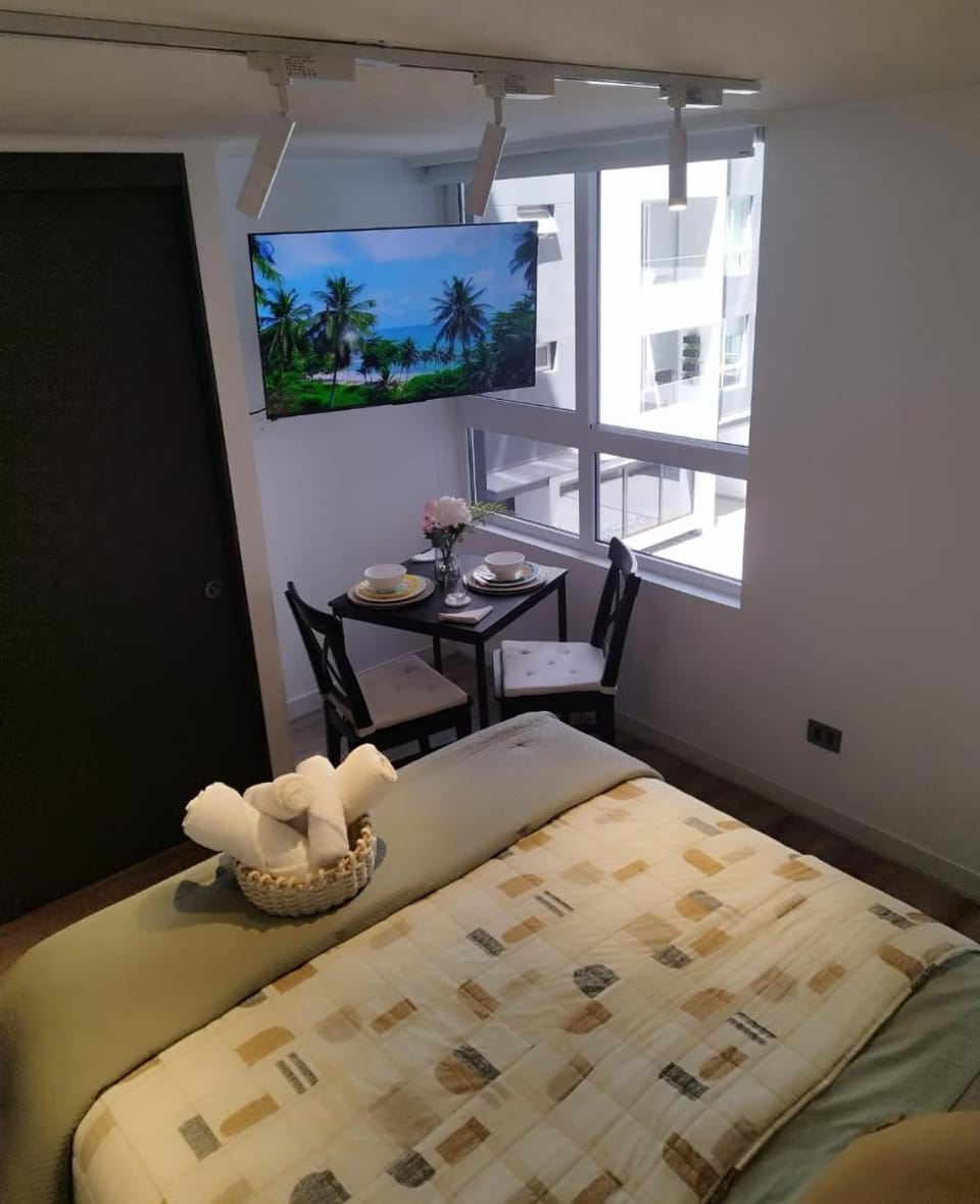 Cozy Home Studio Apartment in Santiago