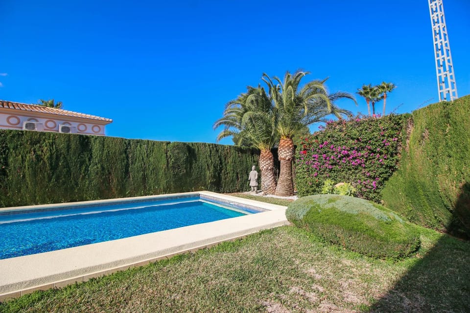 Patio, Garden, Garden view