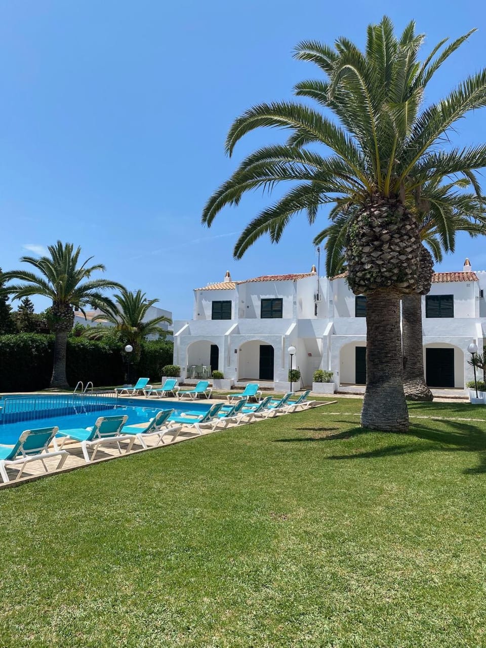 Natural landscape, Garden, Swimming pool, sunbed