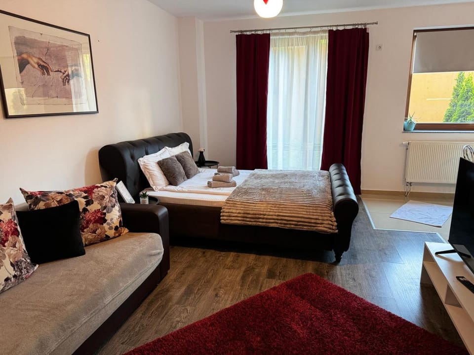 13StudioBv Apartment in Brasov