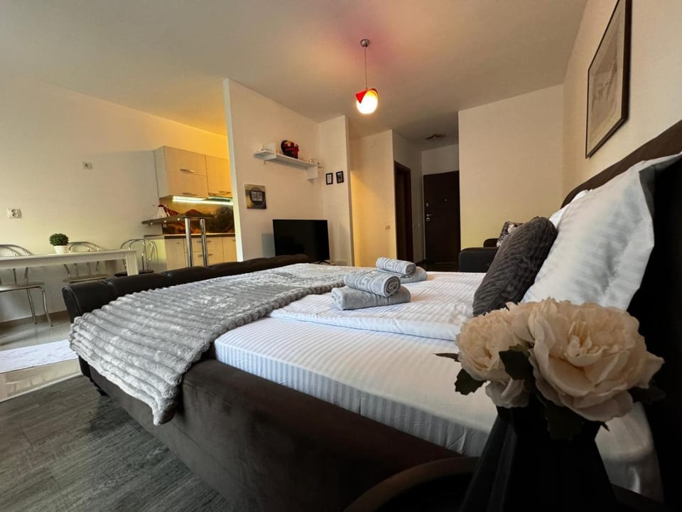13StudioBv Apartment in Brasov