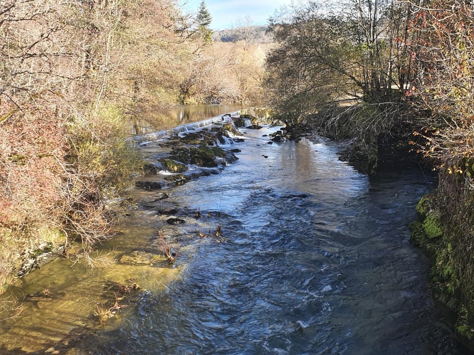 Natural landscape, River view