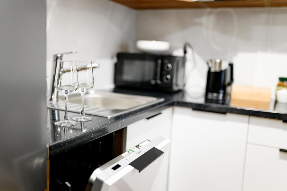 Kitchen or kitchenette, dishwasher