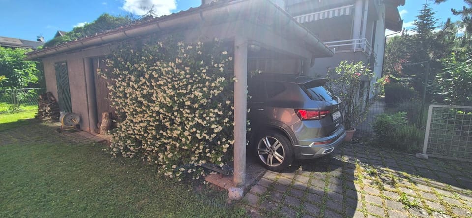 Spring, Garden, Parking