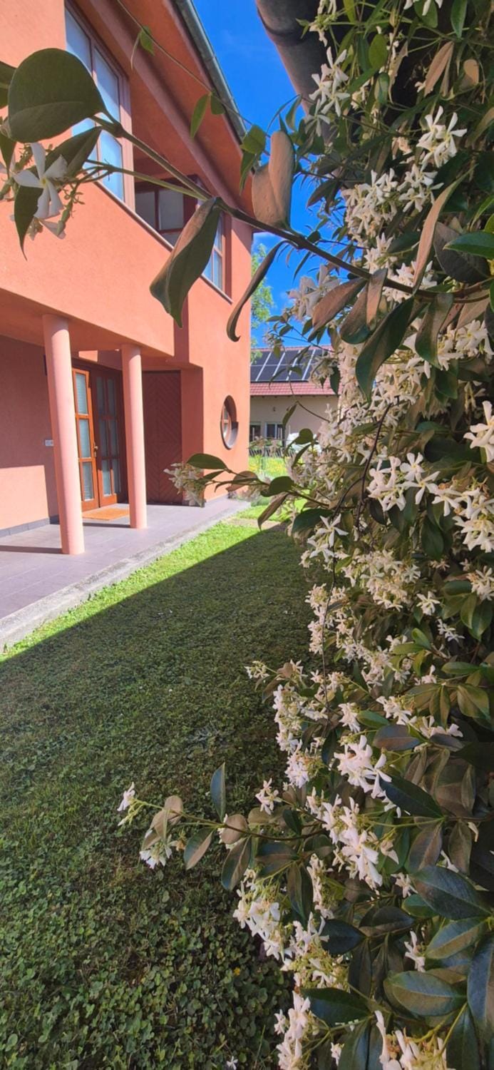 Property building, Spring, Garden