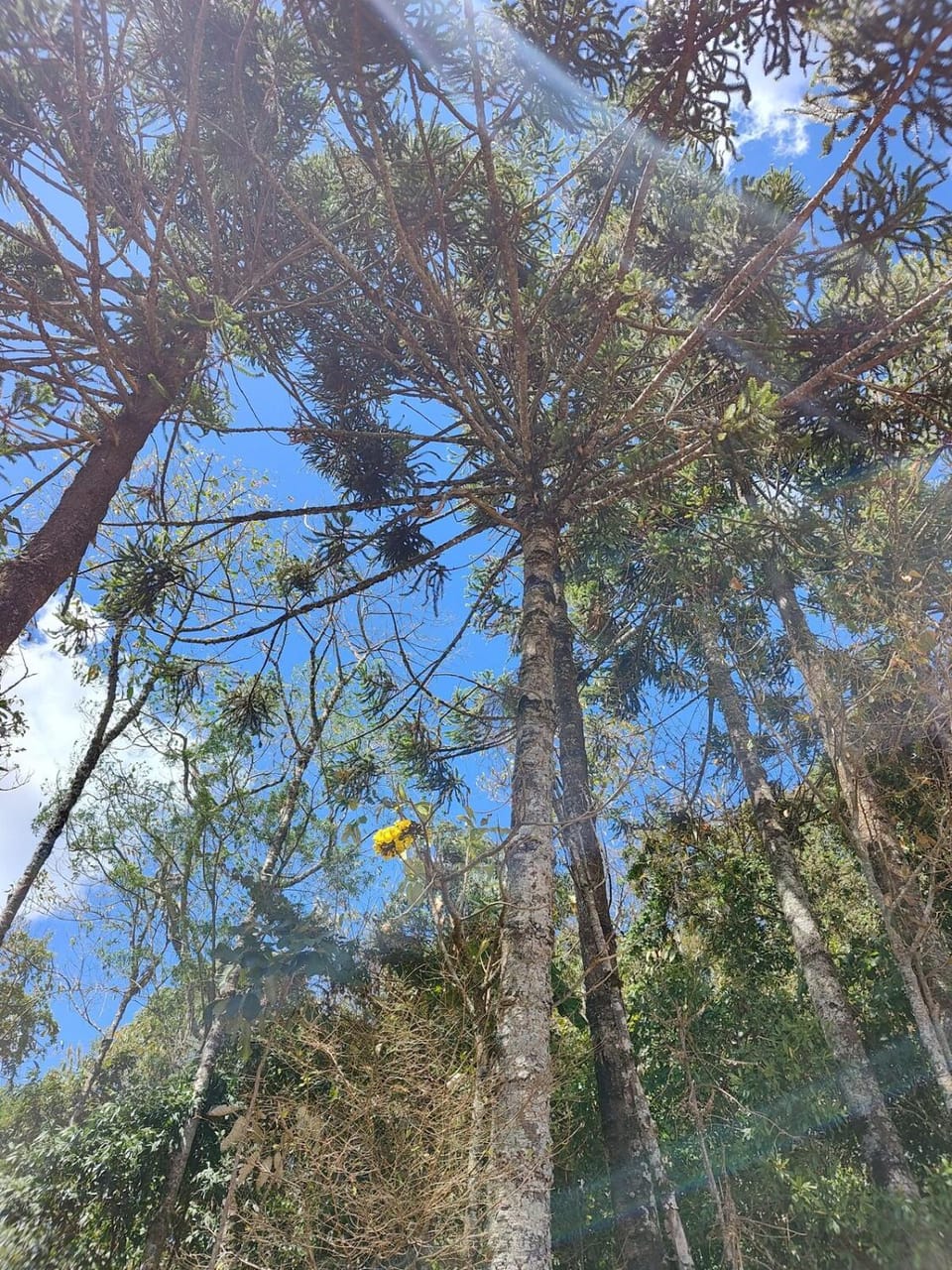 Natural landscape