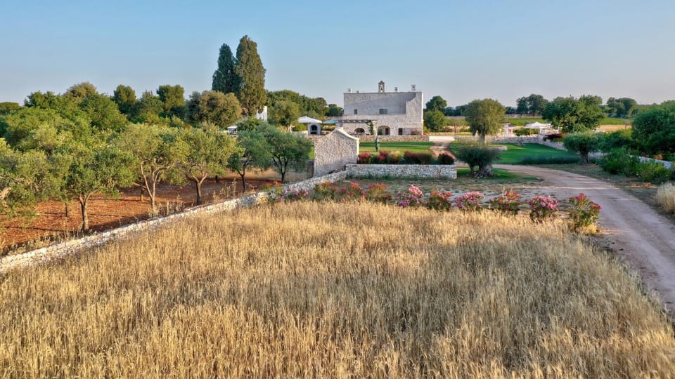 Natural landscape, Garden, Garden, View (from property/room), Garden view, Quiet street view