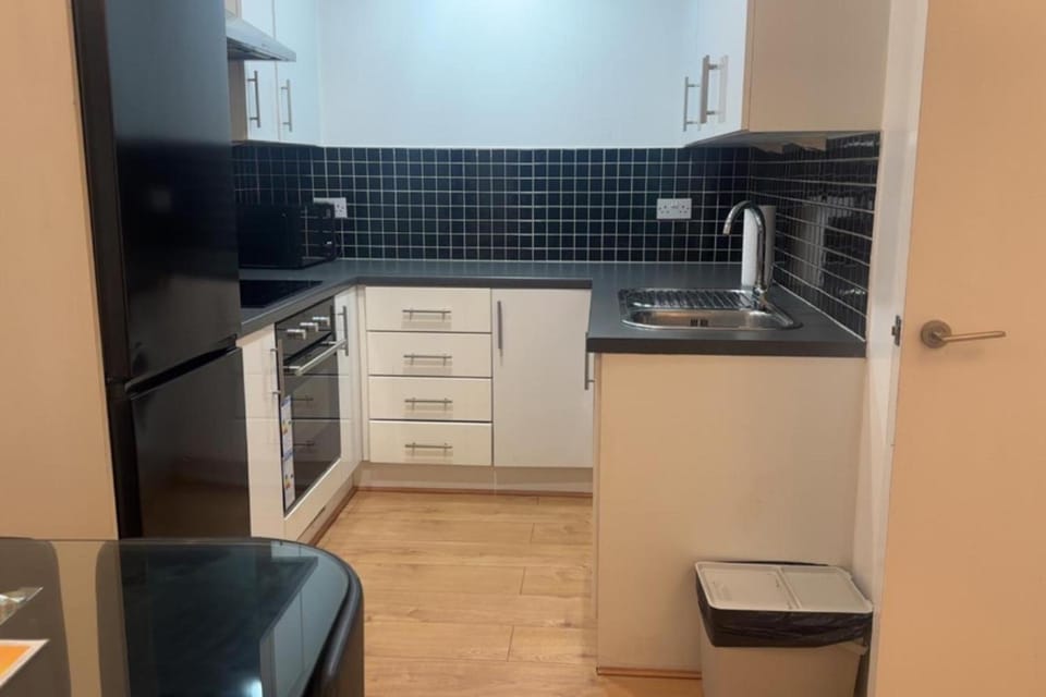 Kitchen or kitchenette, minibar, oven, stove