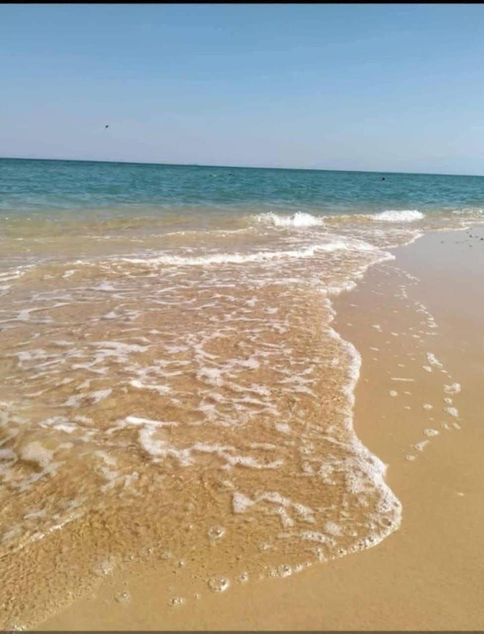 Natural landscape, Beach, Sea view