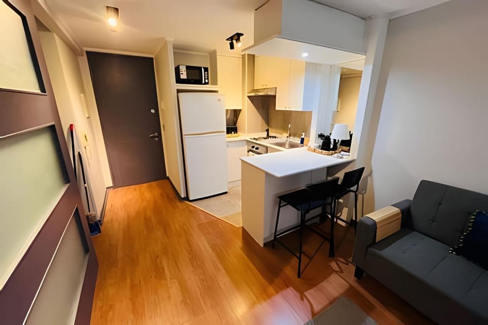 Hermoso Departamento en Santiago Centro, Centro Cívico. Apartment in Santiago