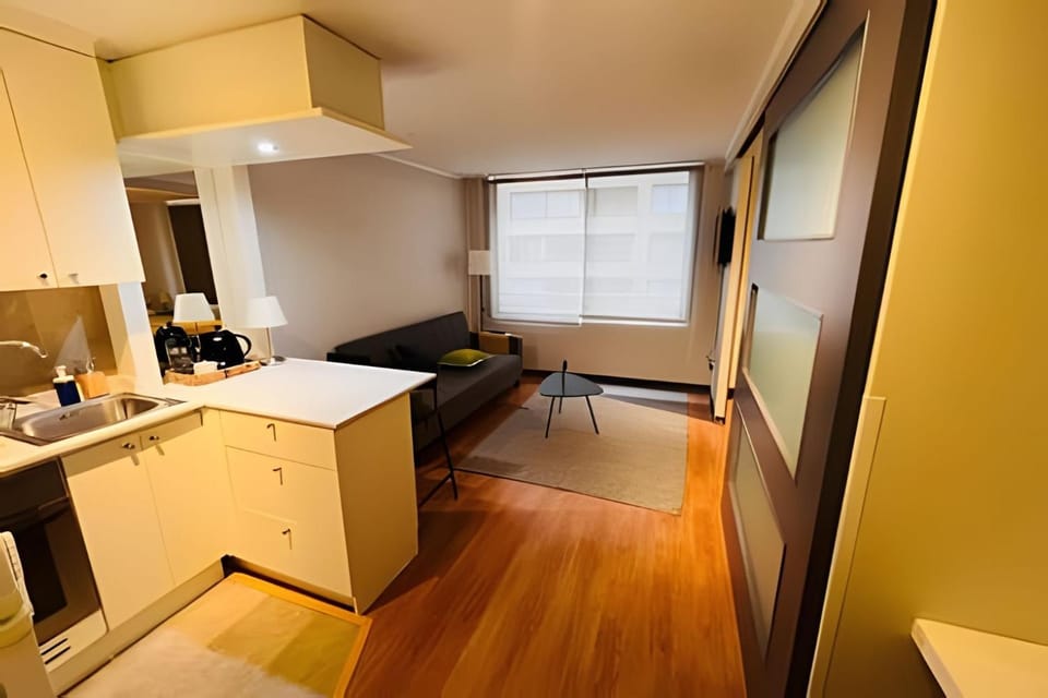 Hermoso Departamento en Santiago Centro, Centro Cívico. Apartment in Santiago